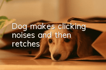 Dog makes clicking noises and then retches