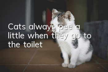Cats always pee a little when they go to the toilet
