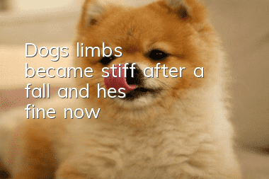 Dog's limbs became stiff after a fall and he's fine now
