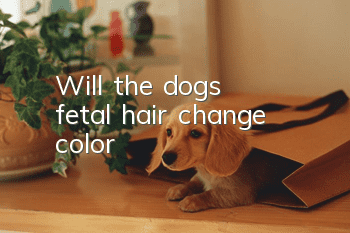 Will the dog's fetal hair change color?