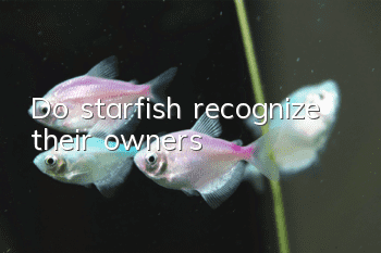 Do starfish recognize their owners?