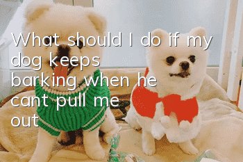 What should I do if my dog keeps barking when he can't pull me out?