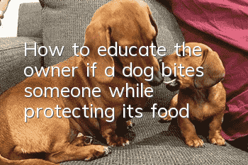 How to educate the owner if a dog bites someone while protecting its food?