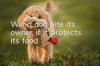 Will a dog bite its owner if it protects its food?