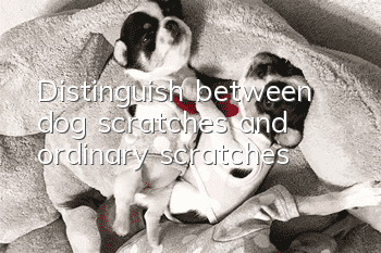 Distinguish between dog scratches and ordinary scratches