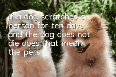 If a dog scratches a person for ten days and the dog does not die, does that mean the person is fine?