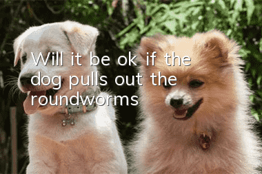 Will it be ok if the dog pulls out the roundworms?