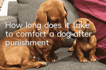 How long does it take to comfort a dog after punishment?