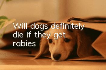 Will dogs definitely die if they get rabies?
