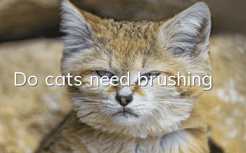 Do cats need brushing?