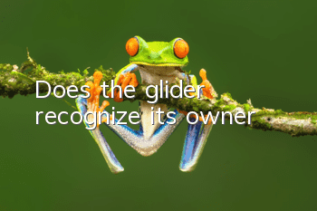 Does the glider recognize its owner?