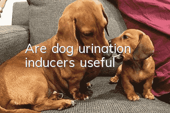 Are dog urination inducers useful?
