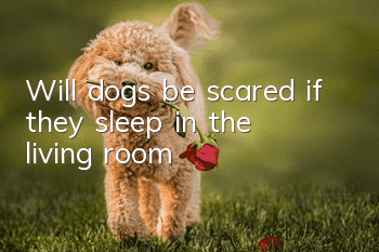 Will dogs be scared if they sleep in the living room?