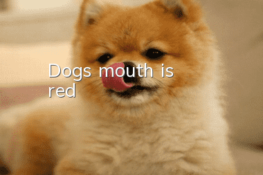 Dog's mouth is red