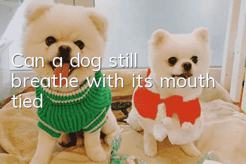 Can a dog still breathe with its mouth tied?