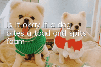 Is it okay if a dog bites a toad and spits foam?