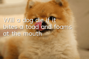 Will a dog die if it bites a toad and foams at the mouth?