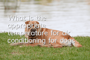 What is the appropriate temperature for air conditioning for dogs?