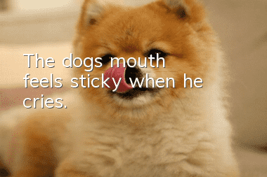 The dog's mouth feels sticky when he cries.