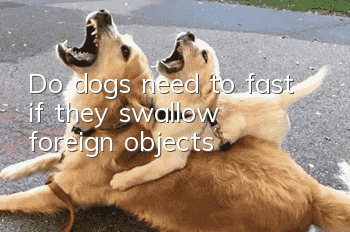 Do dogs need to fast if they swallow foreign objects?