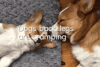 Dog's back legs are cramping