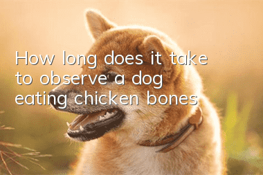 How long does it take to observe a dog eating chicken bones?