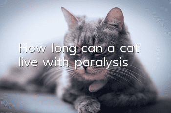 How long can a cat live with paralysis?
