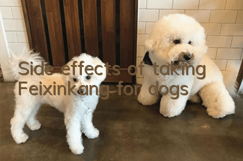 Side effects of taking Feixinkang for dogs