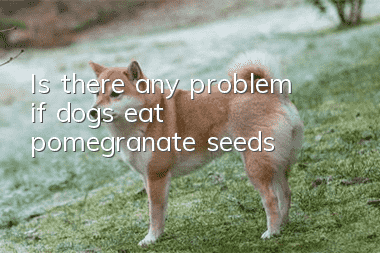 Is there any problem if dogs eat pomegranate seeds?