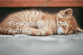 Precautions for cat bathing