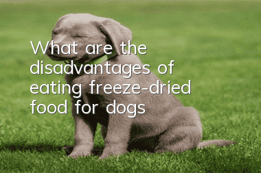 What are the disadvantages of eating freeze-dried food for dogs?