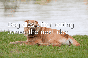 Dog dies after eating bones the next day