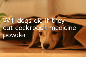 Will dogs die if they eat cockroach medicine powder?