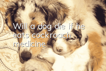 Will a dog die if he eats cockroach medicine?