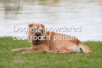 Dog ate powdered cockroach poison