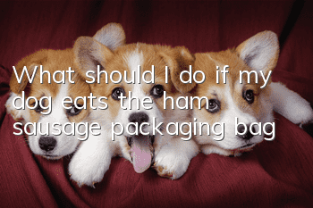 What should I do if my dog eats the ham sausage packaging bag?