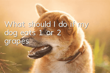 What should I do if my dog eats 1 or 2 grapes?