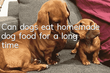 Can dogs eat homemade dog food for a long time?