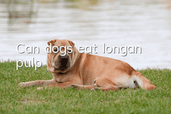 Can dogs eat longan pulp?