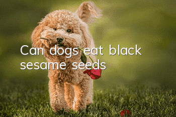 Can dogs eat black sesame seeds?