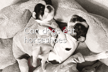 Can dogs eat horseshoes?