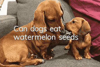 Can dogs eat watermelon seeds?