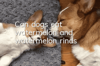 Can dogs eat watermelon and watermelon rinds?