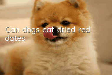Can dogs eat dried red dates?