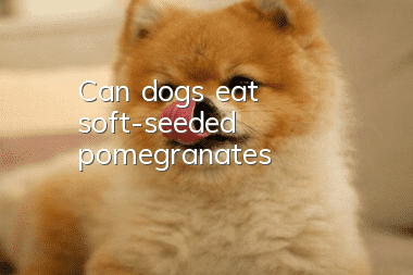 Can dogs eat soft-seeded pomegranates?
