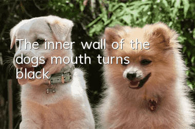 The inner wall of the dog's mouth turns black