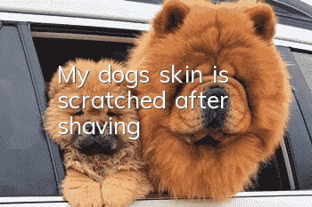 My dog's skin is scratched after shaving