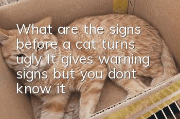 What are the signs before a cat turns ugly? It gives warning signs but you don’t know it!