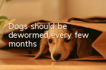 Dogs should be dewormed every few months