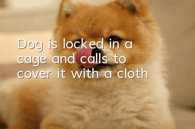 Dog is locked in a cage and calls to cover it with a cloth